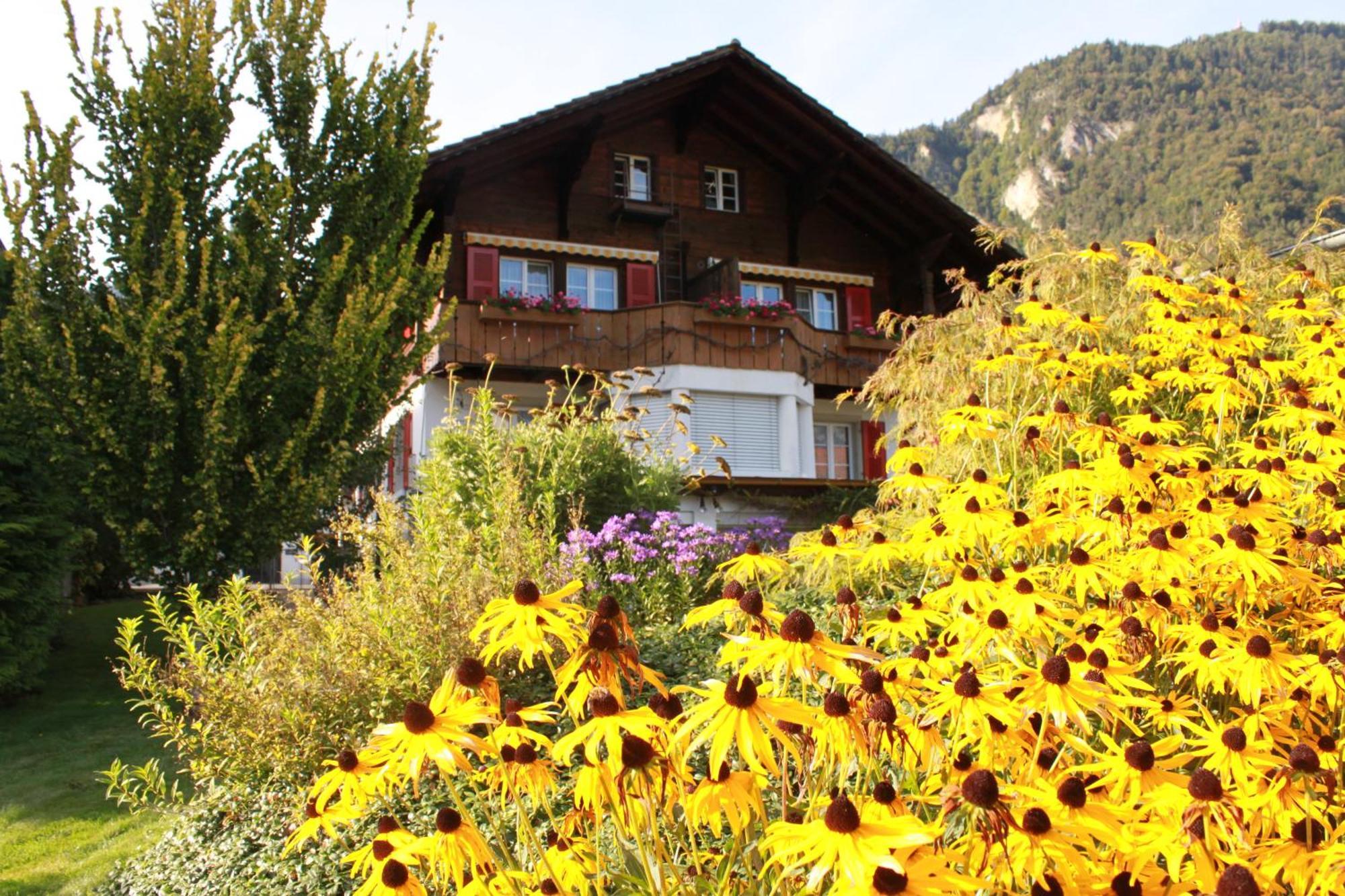 Adventure Guesthouse Interlaken Unterseen Eksteriør bilde